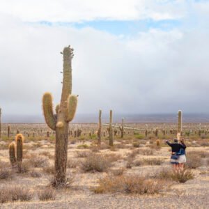 Ticket: Salta JUL 2024